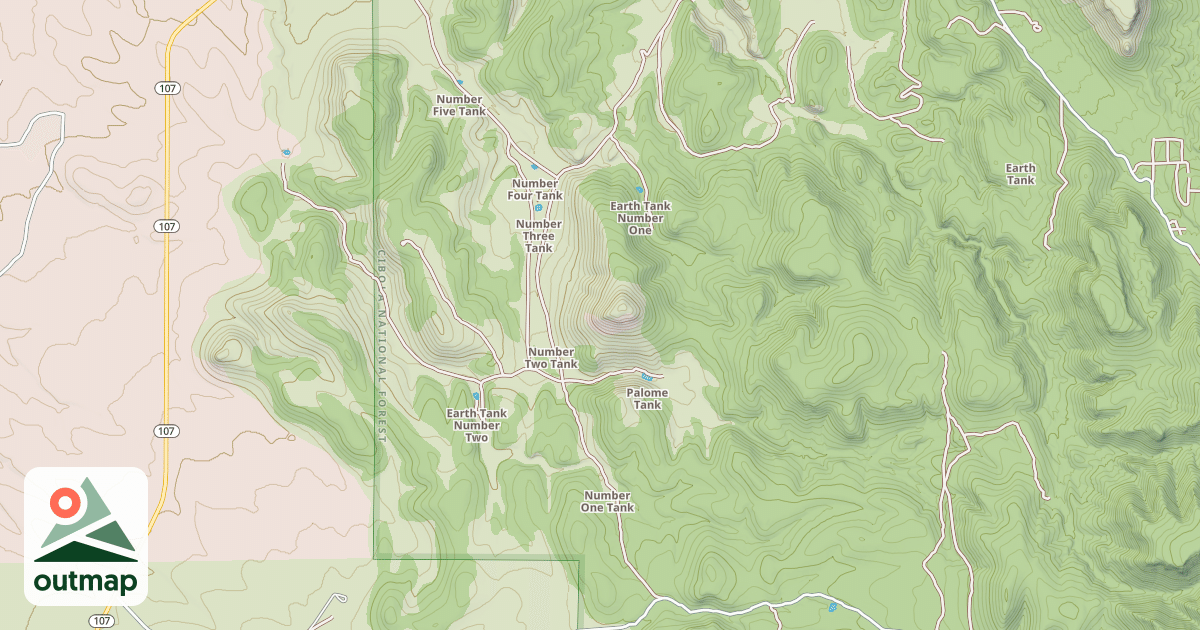 Map of USFS Motor Vehicle Use Map Roads {BC3DFBAC-052B-4091-BD1B-E0C8D9FFFD6B}