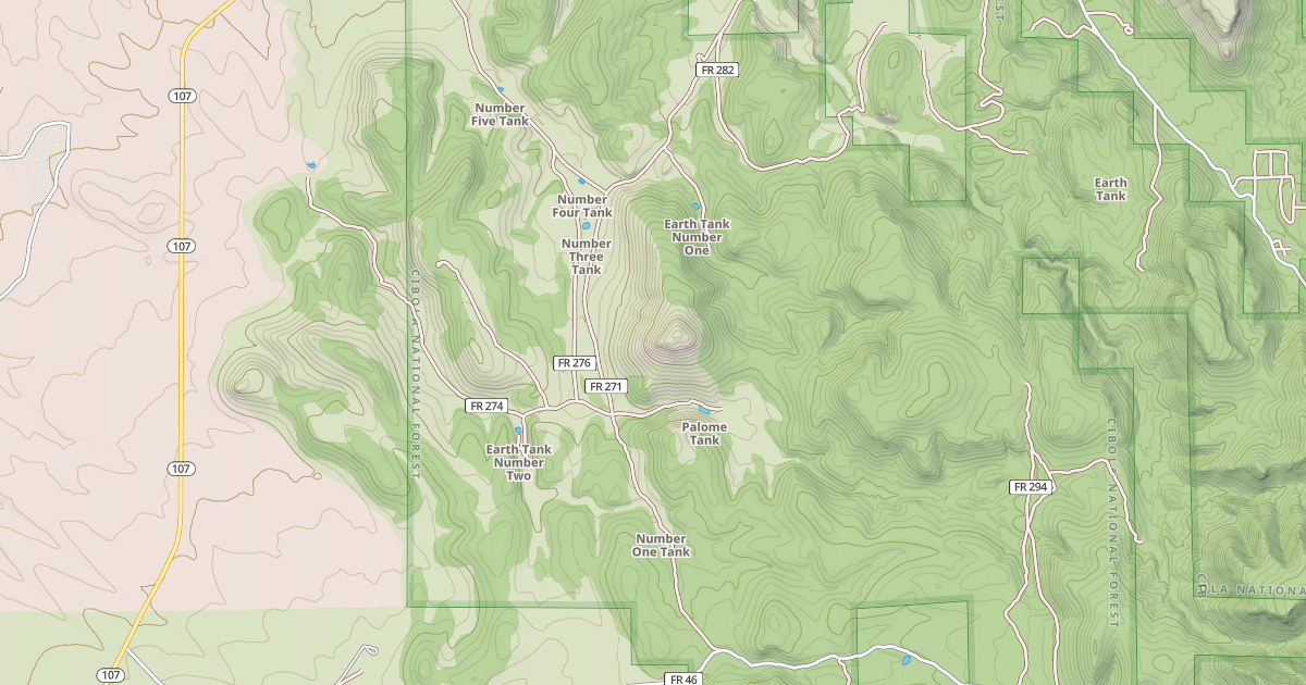 Map preview of USFS Motor Vehicle Use Map Roads {BC3DFBAC-052B-4091-BD1B-E0C8D9FFFD6B}