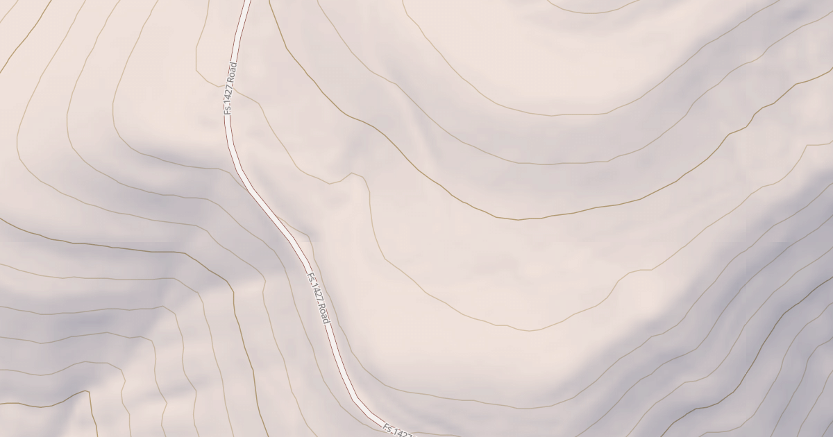 Map preview of USFS Motor Vehicle Use Map Roads {8A3A5CD9-B3E5-4F82-A3E4-0A86EF31B285}