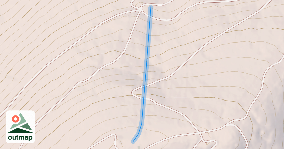 Map of Timber Cruiser