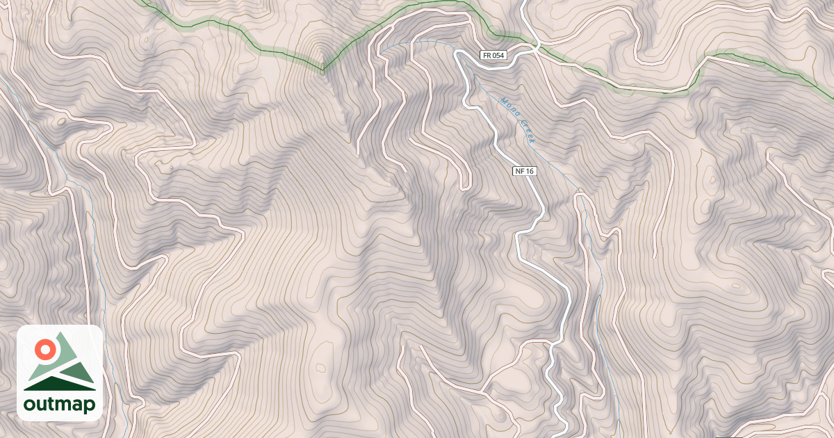 Map of USFS National Forest System Roads {450BCD6D-3E88-4AFF-ADA2-D4B035F7E98A}