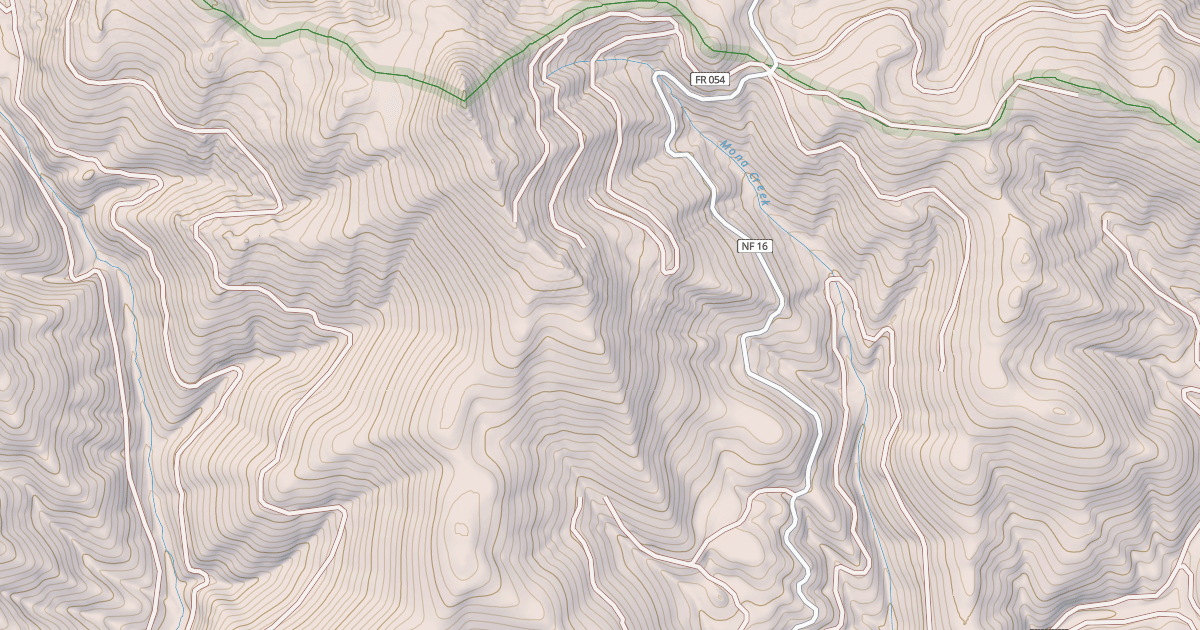 Map preview of USFS National Forest System Roads {450BCD6D-3E88-4AFF-ADA2-D4B035F7E98A}