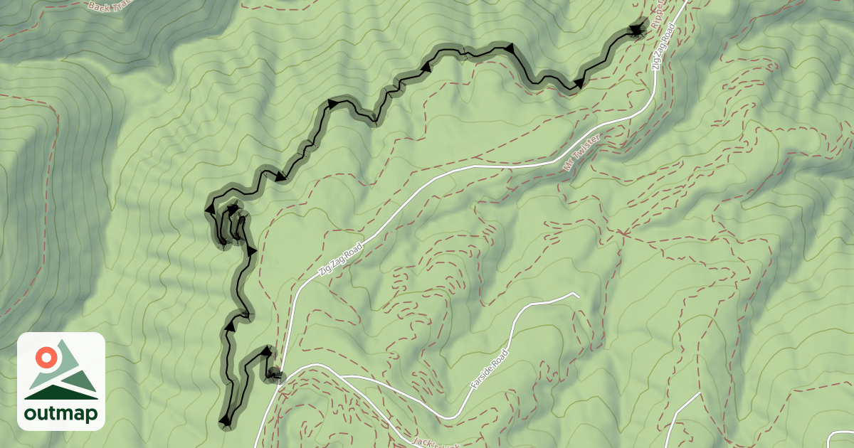 Map of Rhythm and Vines