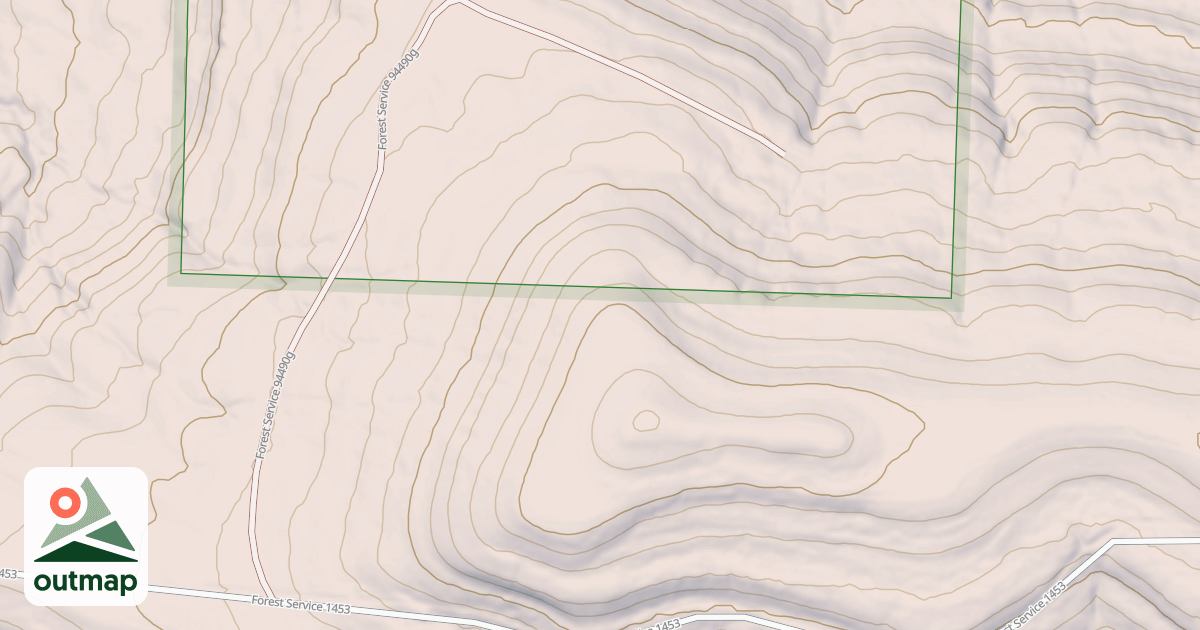 Map of USFS National Forest System Roads {111D8DBE-DF30-4230-B76F-F41FA54BCBC3}