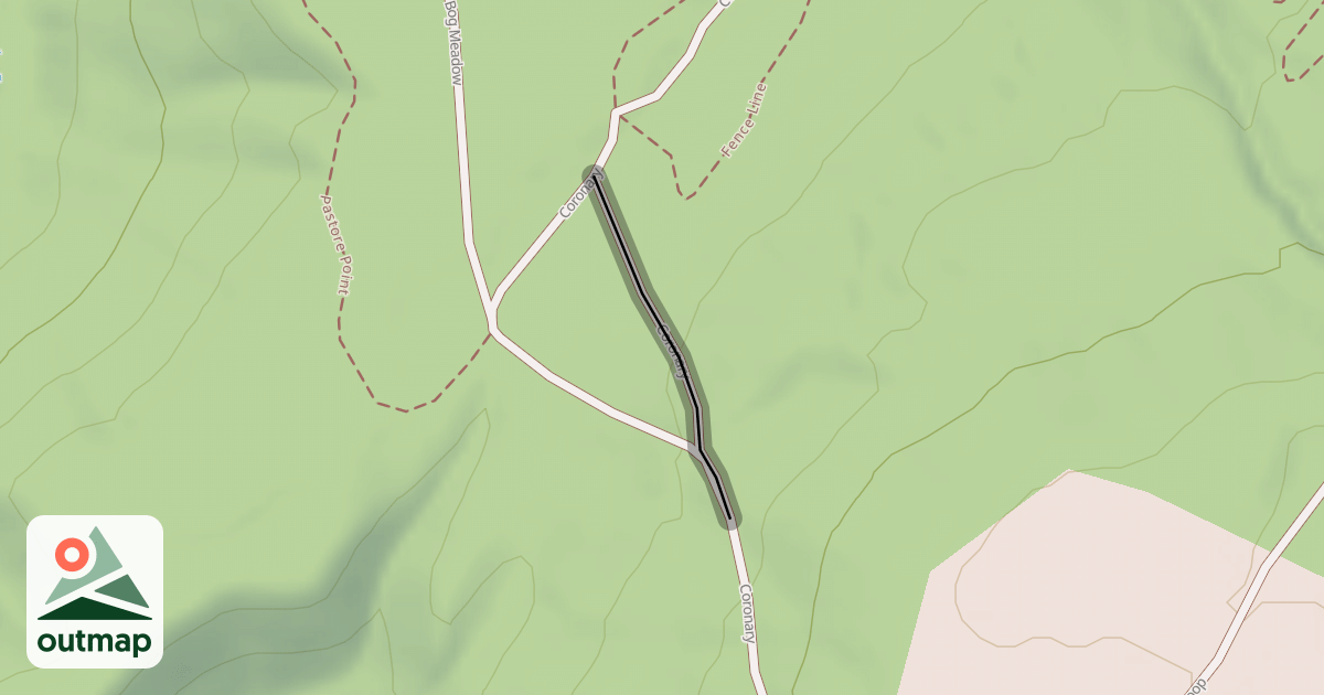 Map of Coronary