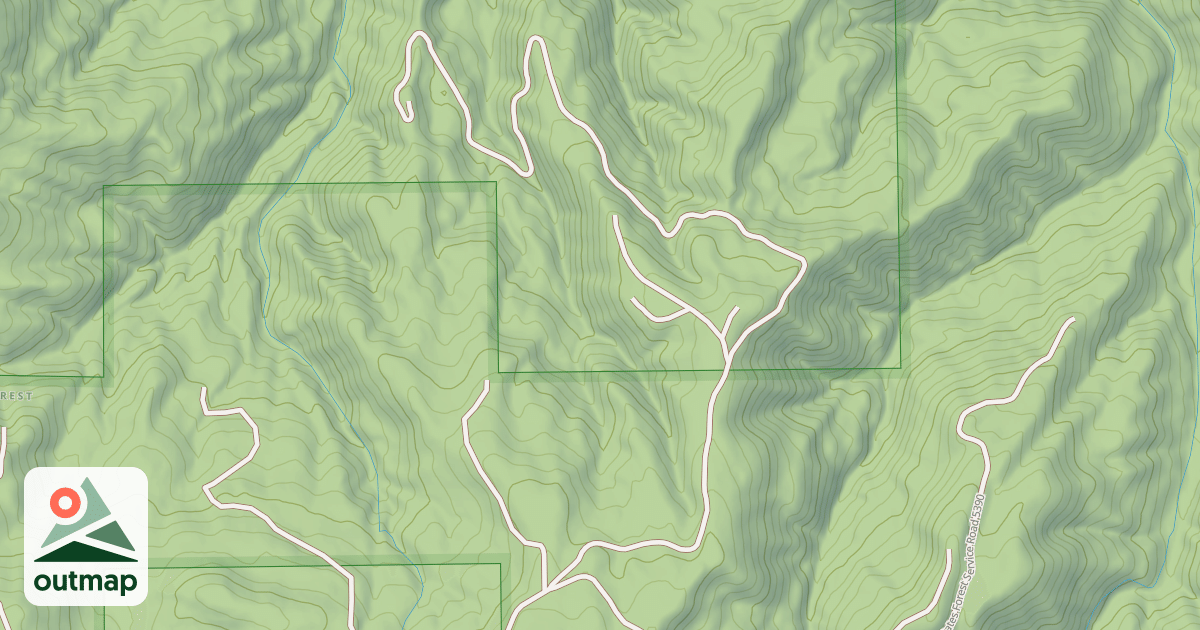 Map of USFS National Forest System Roads {F99ADB6B-2BB2-4273-9A73-47ADCCC594B1}