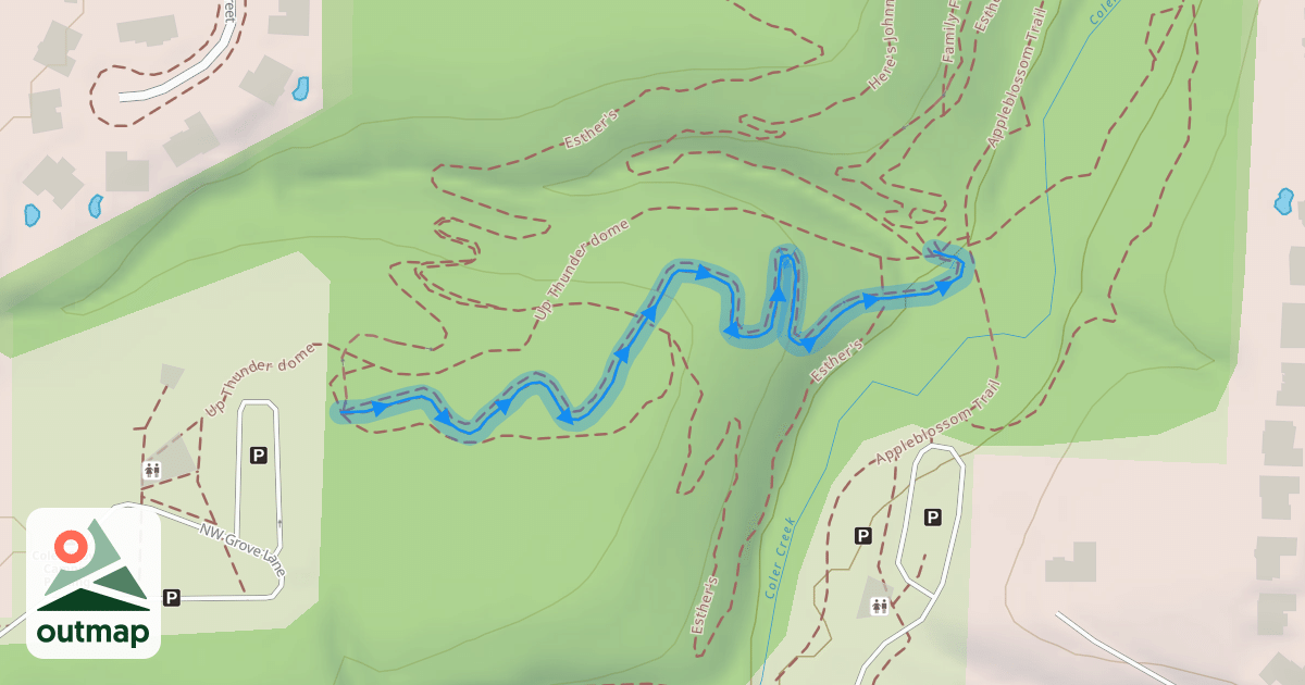 Map of Thunder Dome Right