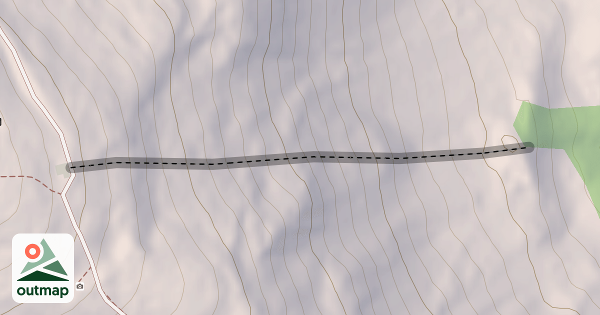 Map of Brill's thrill