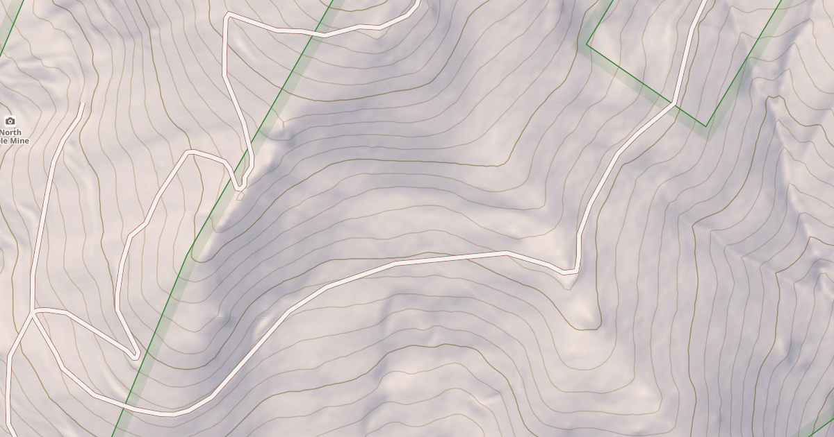 Map preview of USFS National Forest System Roads {0AD8F3EE-2ED6-44DB-A190-F94E2F81998E}