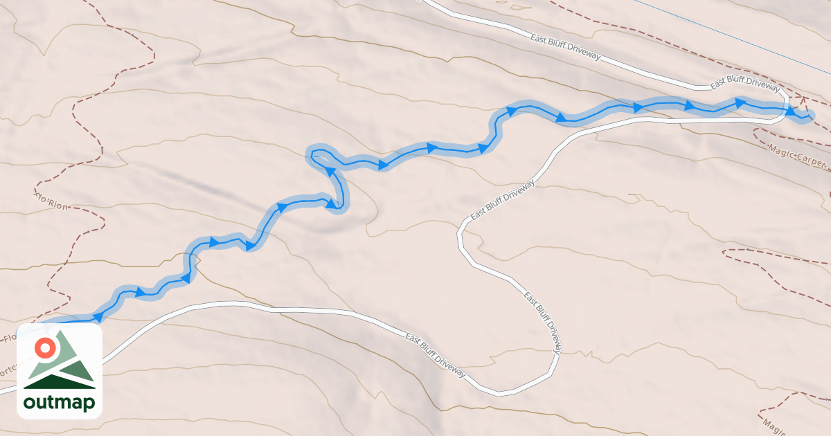 Map of Whipsaw