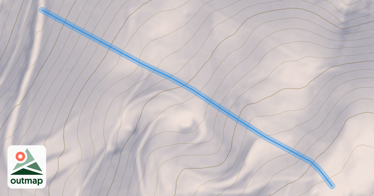 Map of Fascination