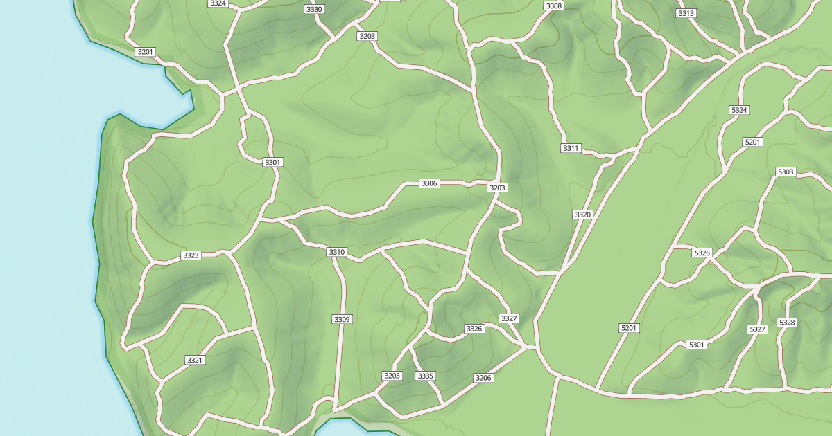 Map preview of USFS Motor Vehicle Use Map Trails 19806