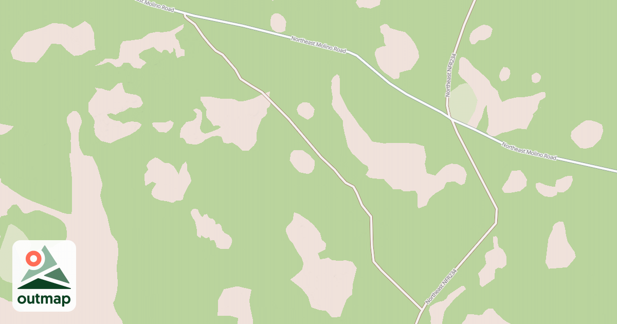 Map of USFS National Forest System Roads {347CEC79-1AAF-453B-A932-5BE2CF041AD6}