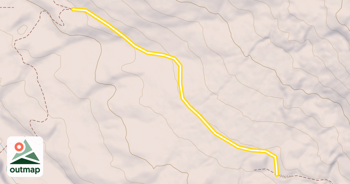 Map of Palisade