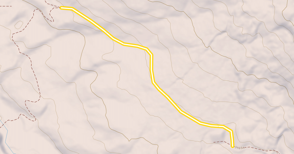 Map preview of Palisade