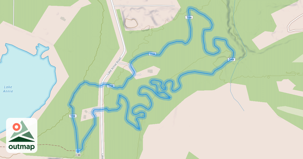 Map of Twisted Tree