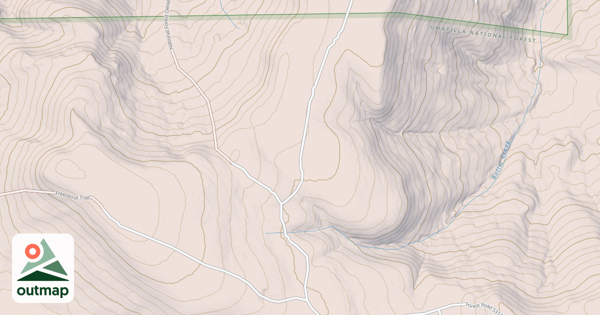 Map of USFS National Forest System Roads {1A2F78BC-1E04-4FE2-97FC-B1854C68637F}
