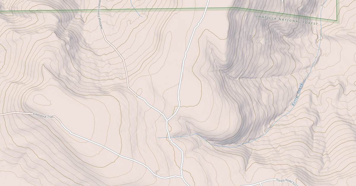 Map preview of USFS National Forest System Roads {1A2F78BC-1E04-4FE2-97FC-B1854C68637F}