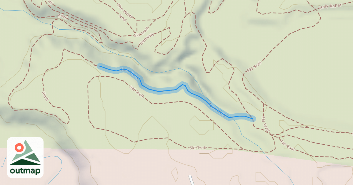 Map of Fern Gully
