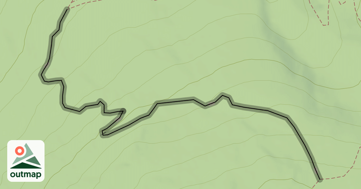 Map of Yin