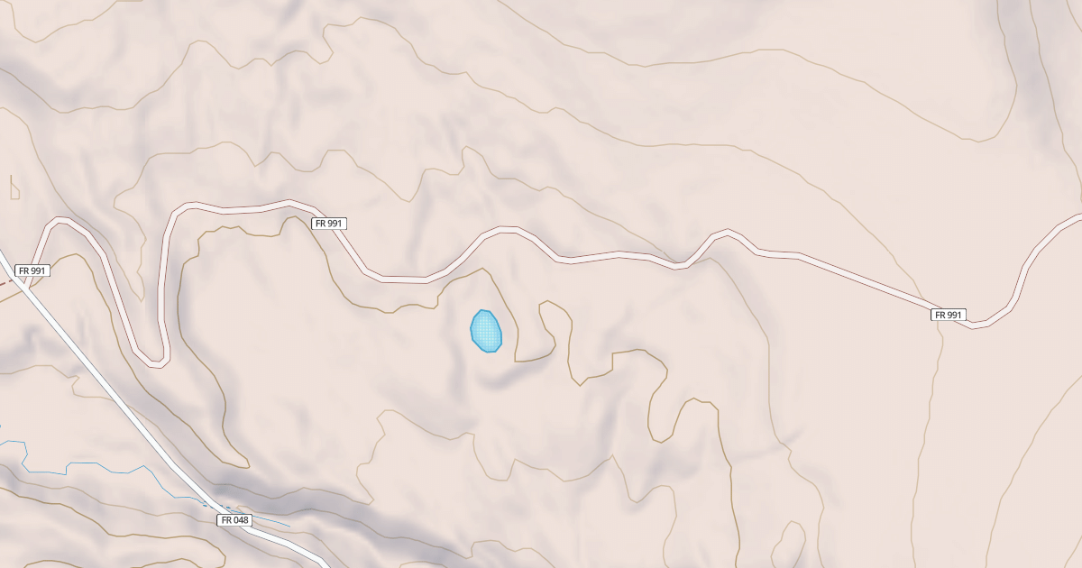 Map preview of USFS National Forest System Roads {24E1E9DC-560B-4F72-8522-4A61943EF305}