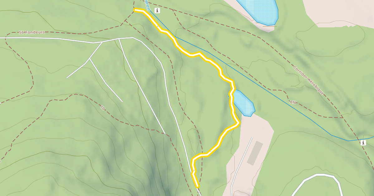 Map preview of 8