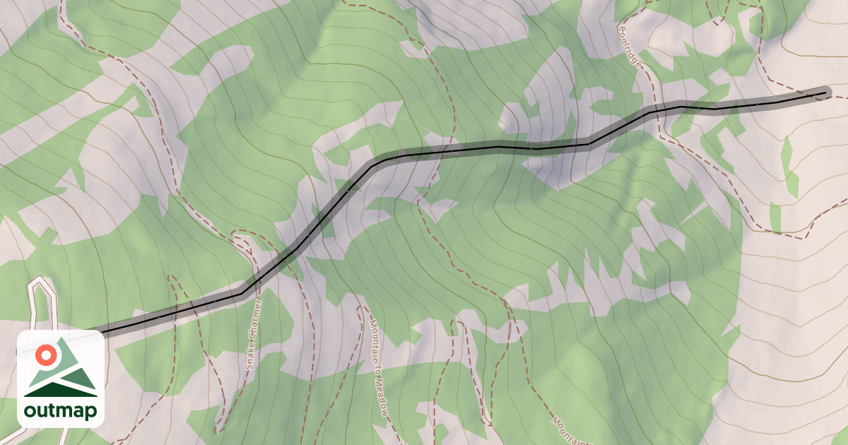 Map of Snake Pit