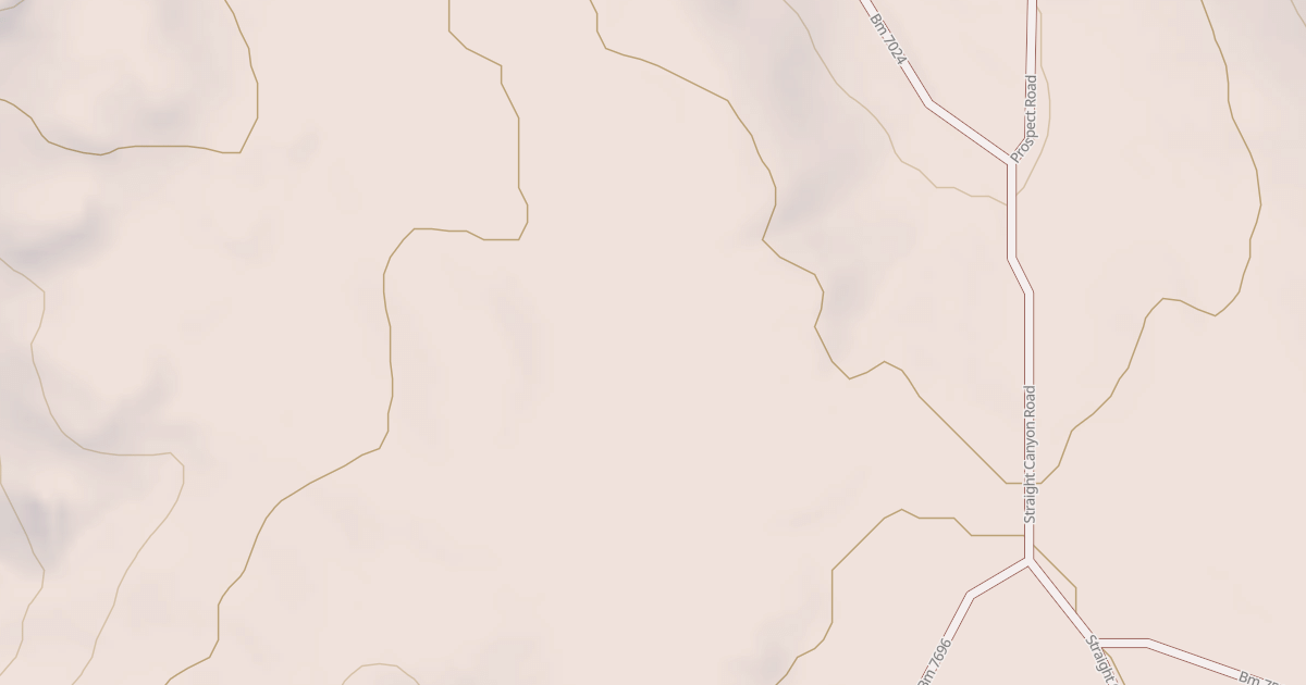 Map preview of BLM National GTLF Public Motorized Roads 0612bd51-4e00-49a1-9556-eb8fc542f3eb