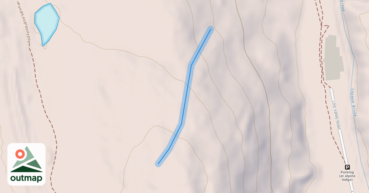 Map of Pine Grove