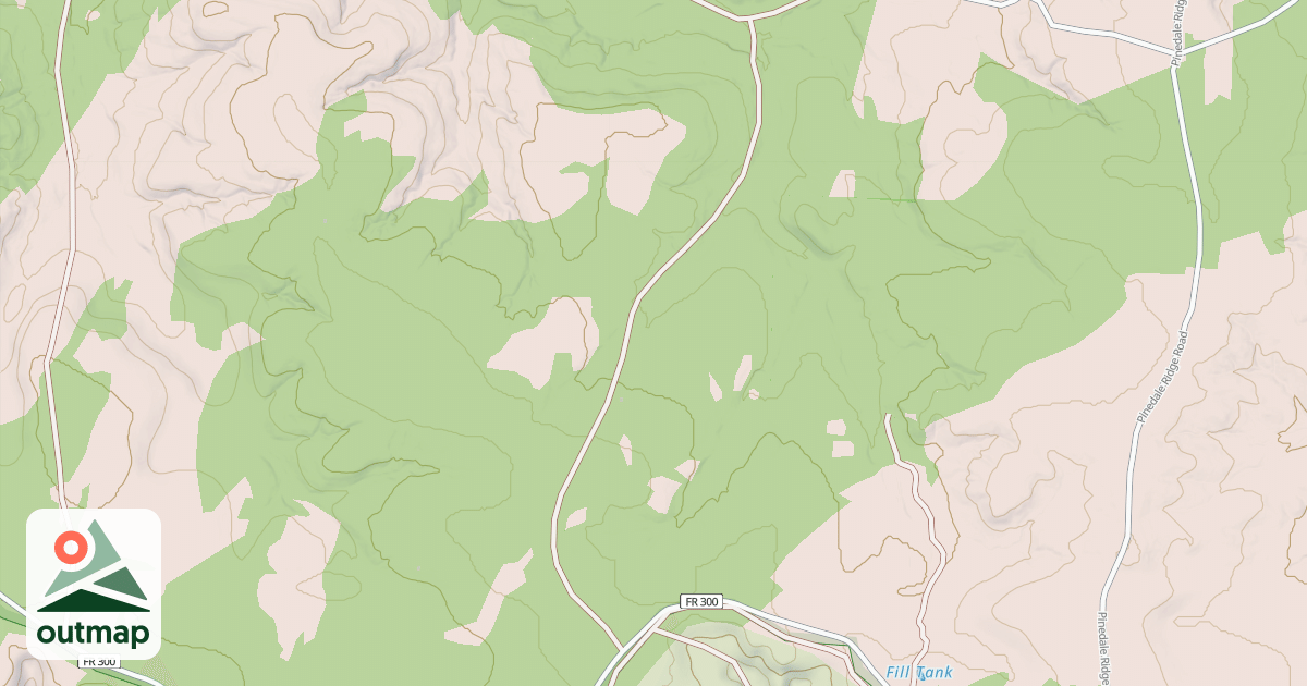Map of USFS National Forest System Roads {B8629B46-B583-4DAA-B075-B0B0EF17BA9E}