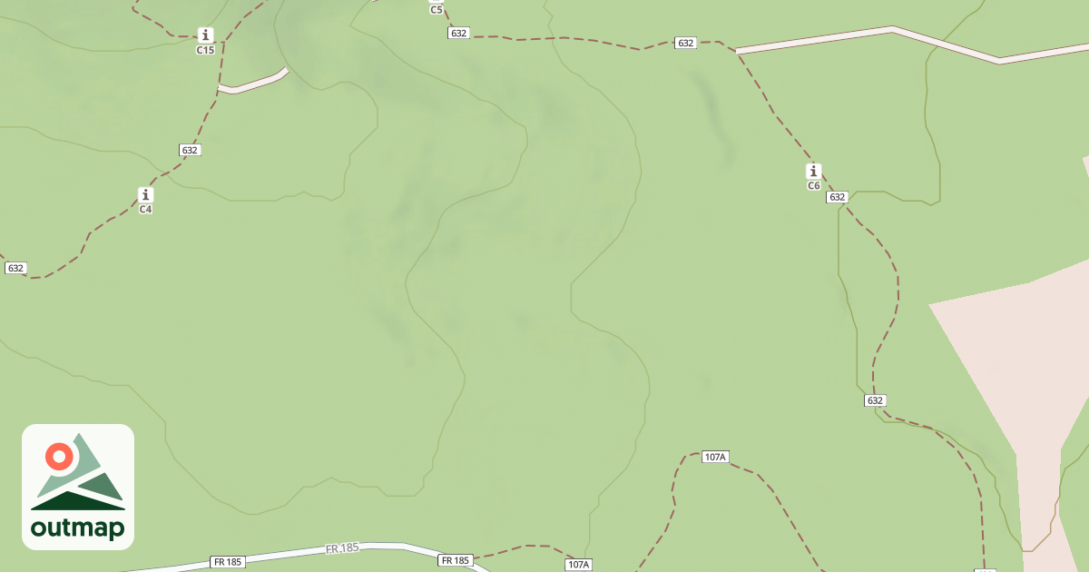 Map of USFS National Forest System Roads {AAFEF155-3739-4484-82B9-99901A1D44A6}