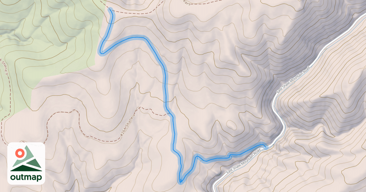 Map of #26A Shane's