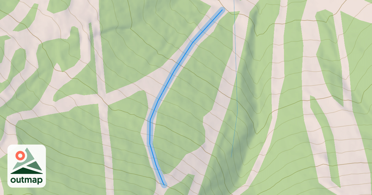 Map of Basin Street