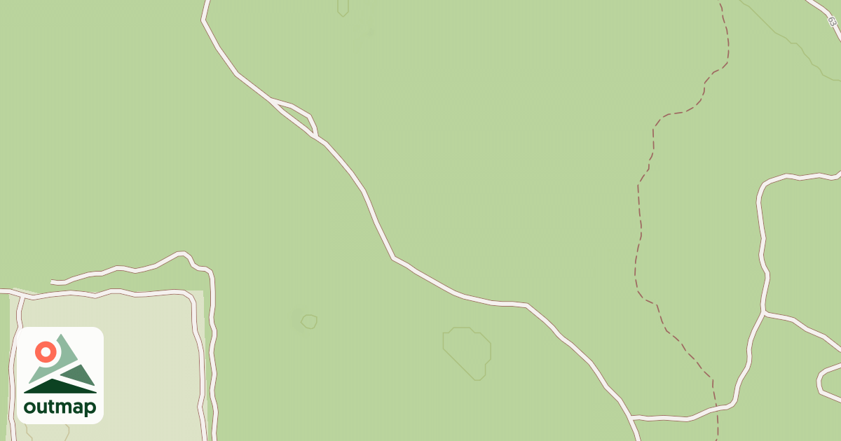 Map of USFS National Forest System Roads {9BABB7C7-216E-4835-B763-30B27FCBA922}