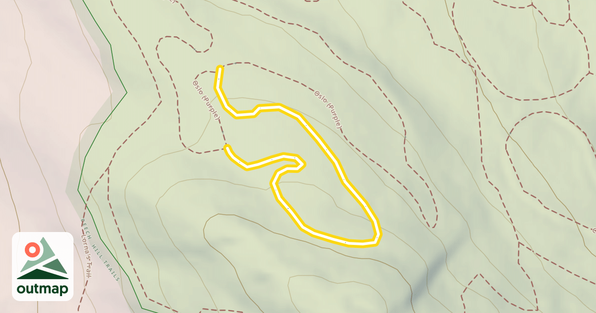 Map of Upper Oslo (Purple)