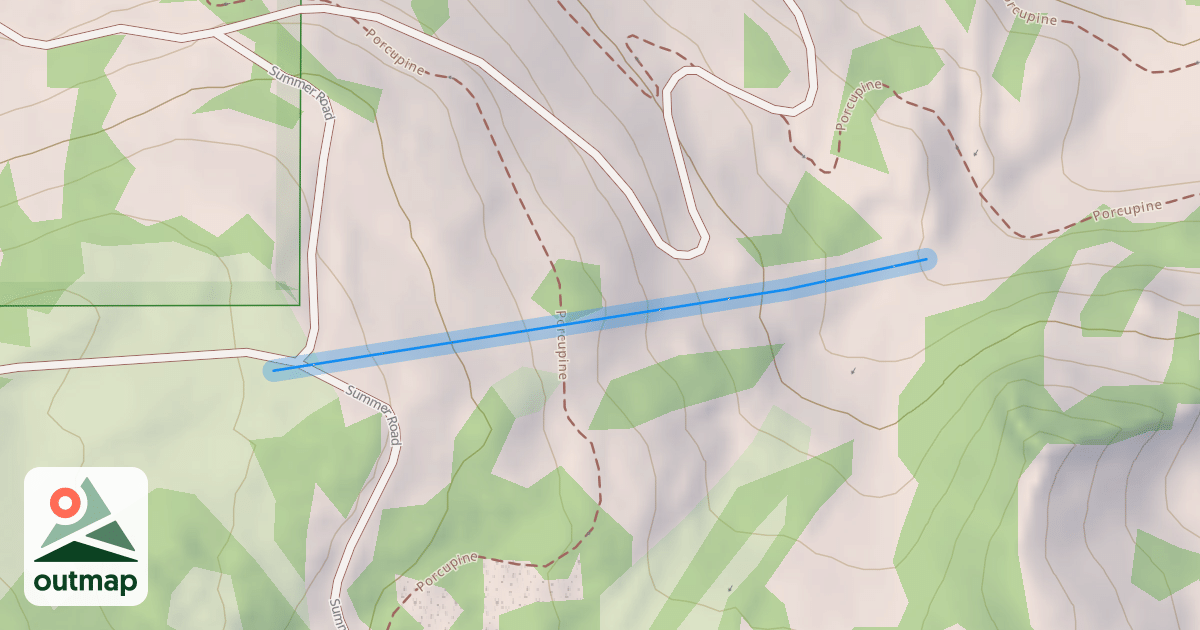 Map of Needles Run