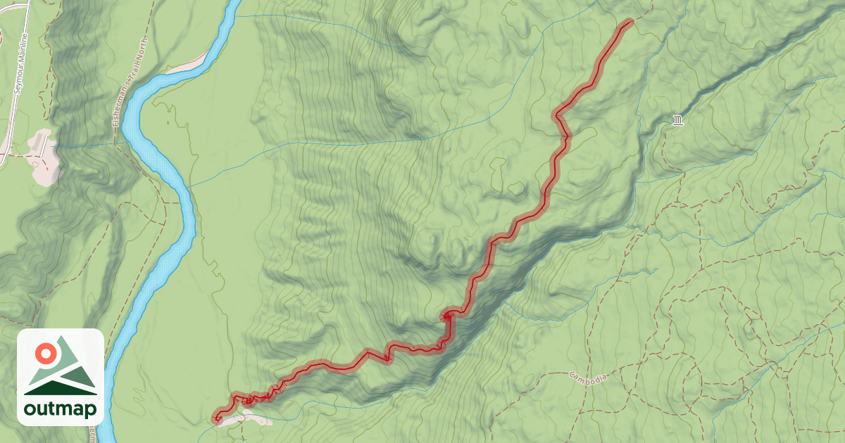 Map of Neuralyzer