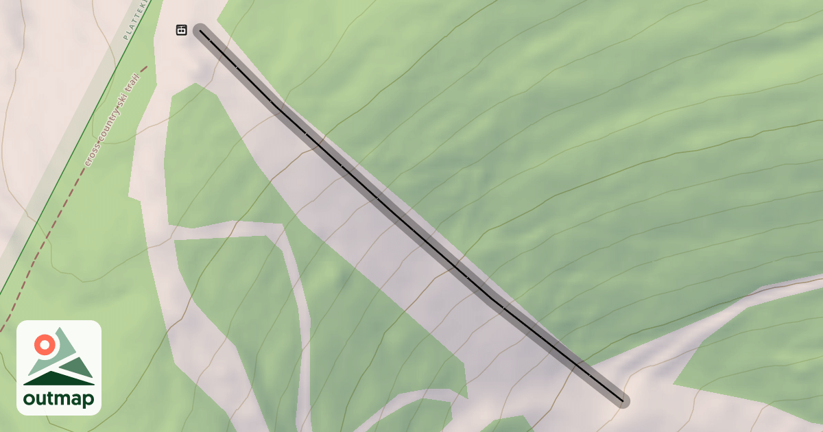 Map of Upper Face