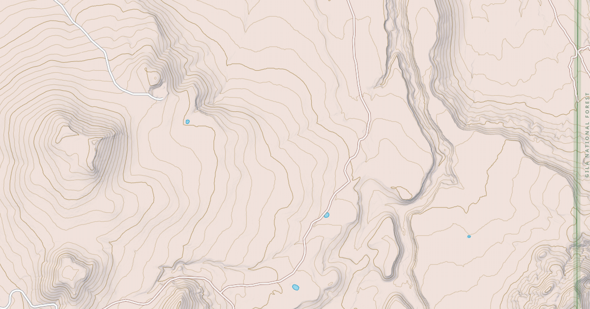 Map preview of PRATT LAKE