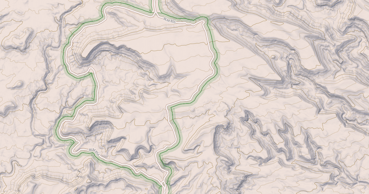 Map preview of BLM National GTLF Public Motorized Roads 09b6e71e-a811-40e1-a6ff-369e122914e2