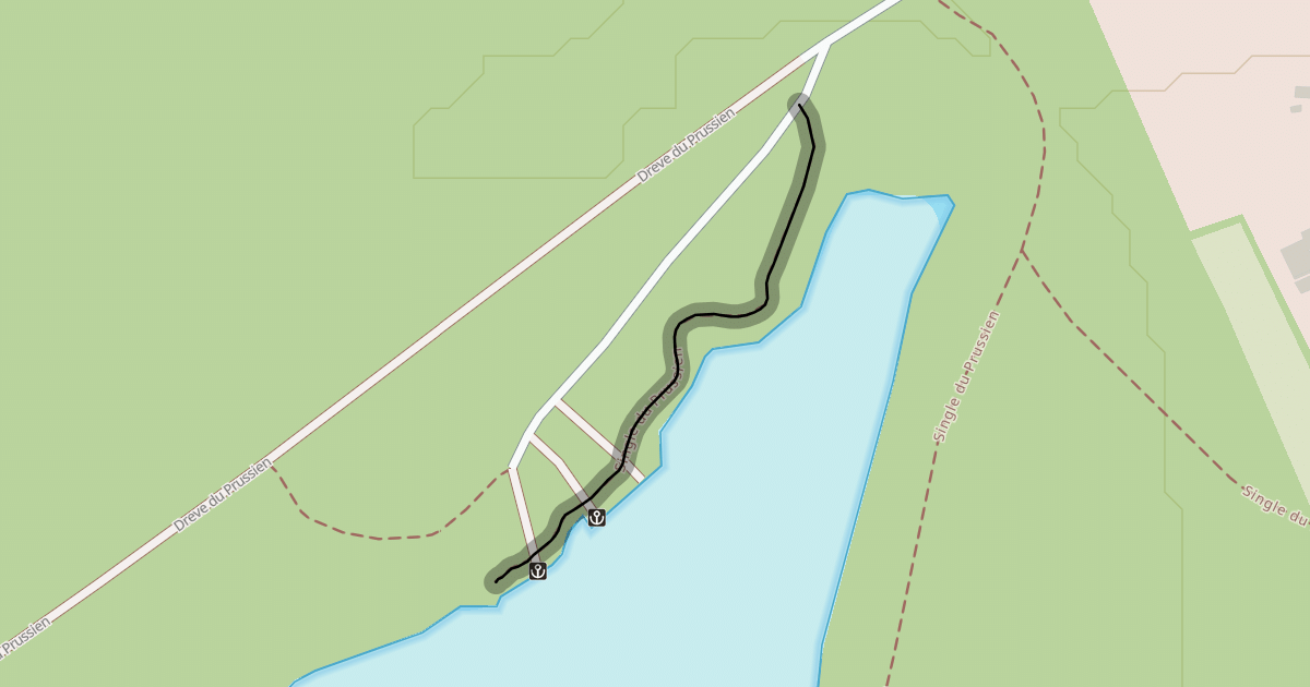 Map preview of Single du Prussien