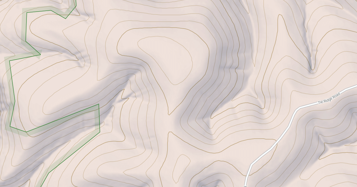 Map preview of USFS National Forest System Roads {521E46C4-DC74-43FA-A90C-CD357502CF67}