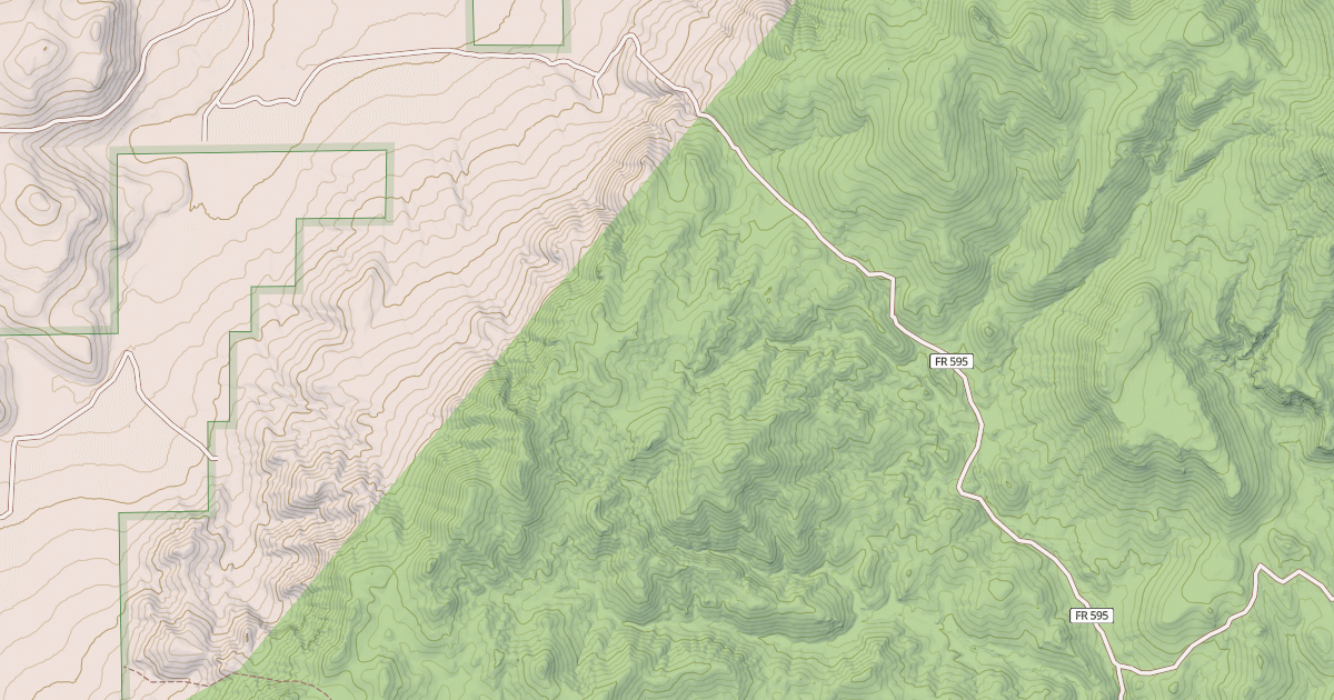 Map preview of USFS National Forest System Roads {534EEAD8-08FB-4CE6-B6F8-0764D47ED417}