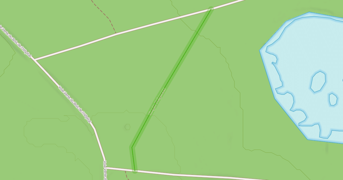 Map preview of Single Peigneux