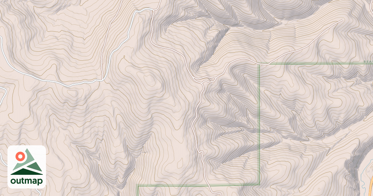 Map of USFS National Forest System Roads {229F5B04-B2A4-412A-8432-0C98E92D6DAE}
