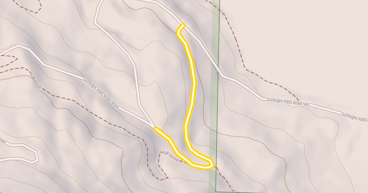Map preview of Gunsight Pass Road 585