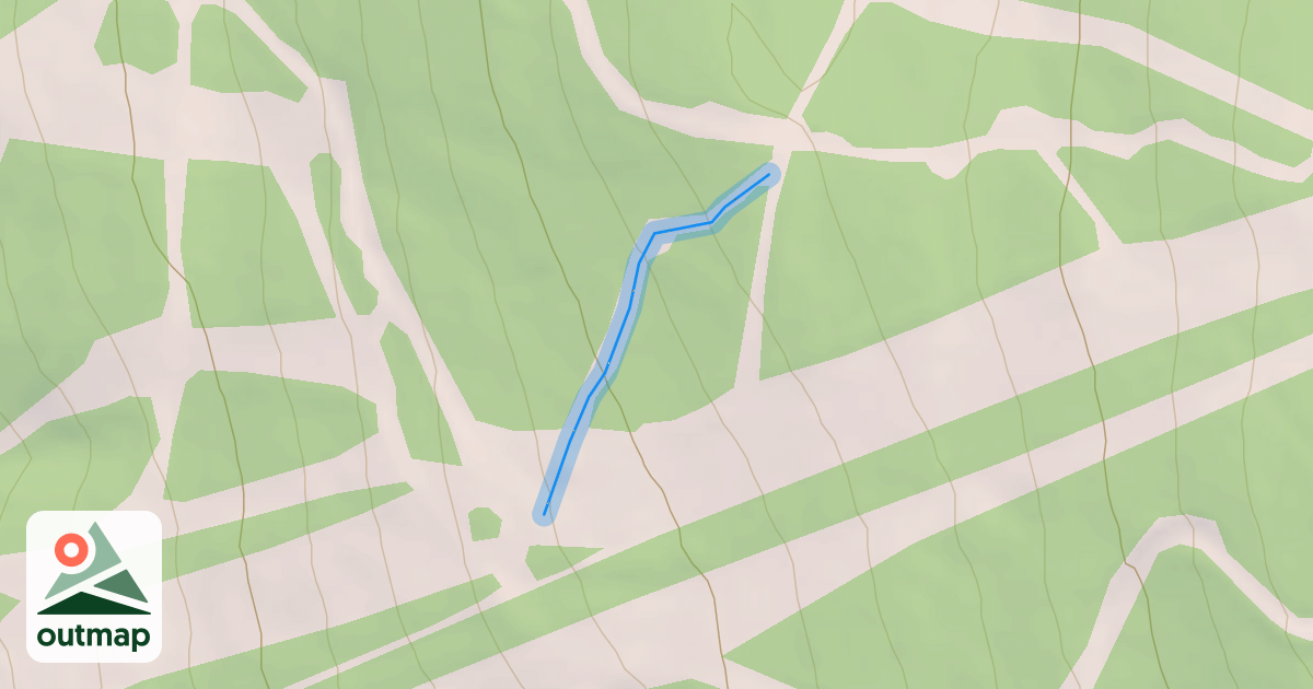 Map of Twist y shout