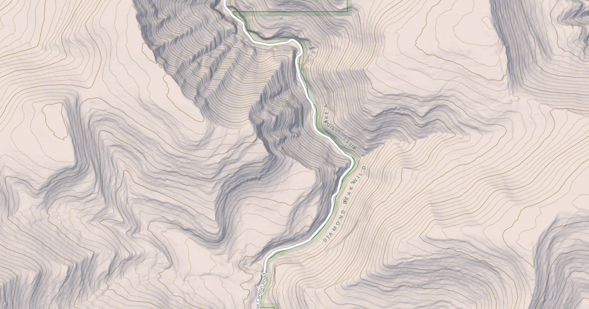Map preview of BLM National GTLF Public Motorized Roads 727c072f-f791-49d1-a85f-e002f972da9f
