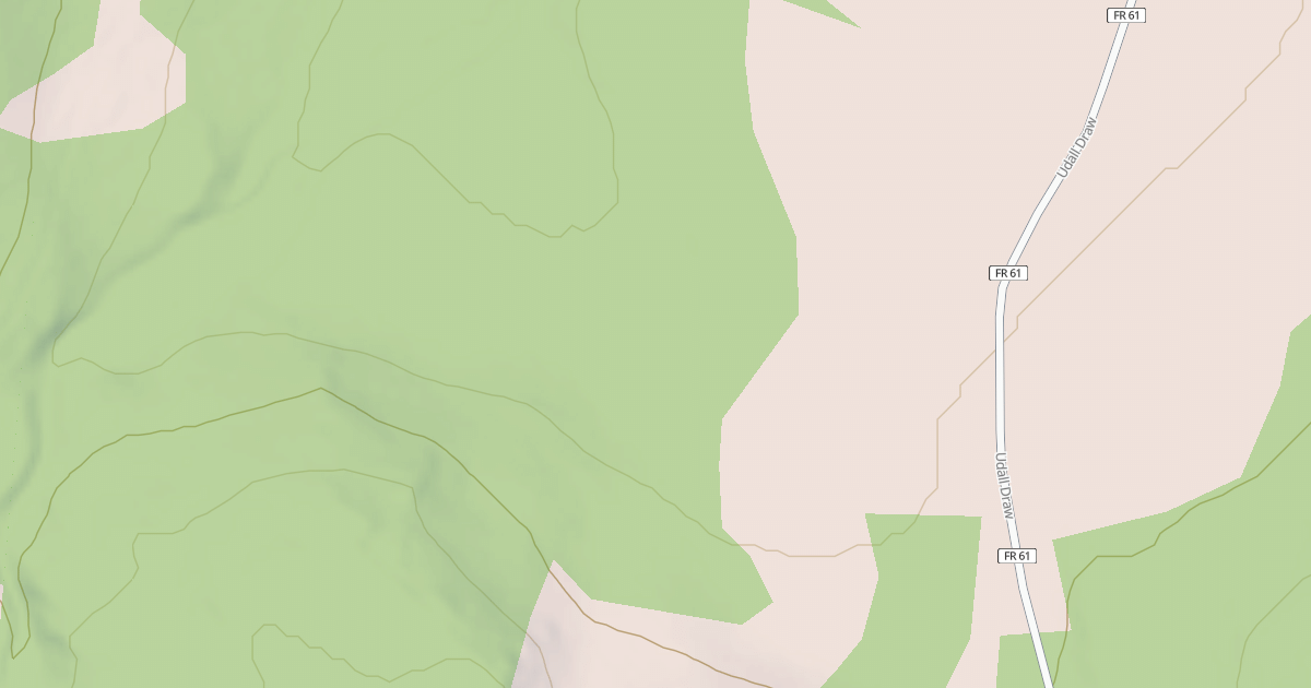 Map preview of USFS National Forest System Roads {ACBB87D5-06D1-49E4-8D1E-54582F3B8274}