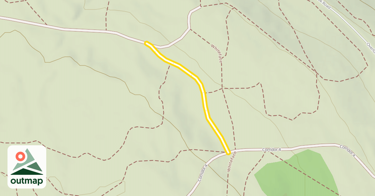 Map of Pines